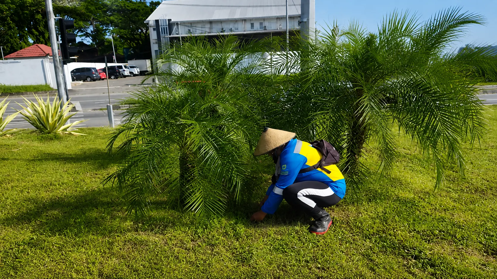 Garden Maintenance